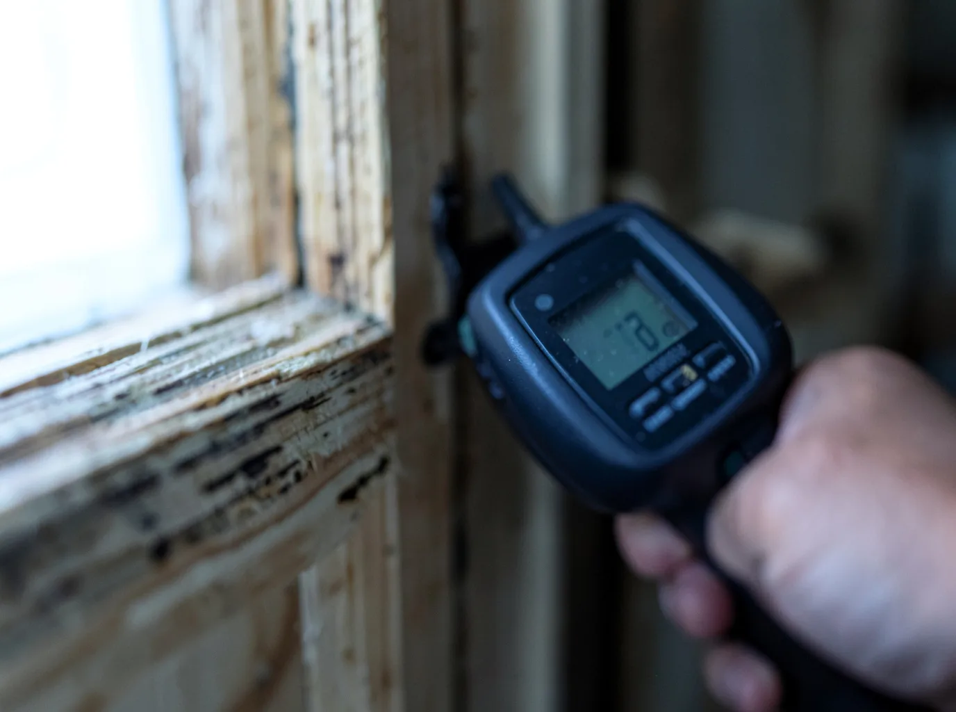 Moisture Inspection And Documentation in Columbia Falls, MT